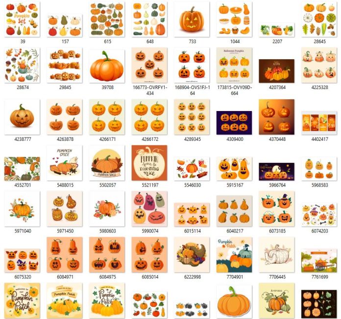 pumpkin-bi-ngo-file-vector