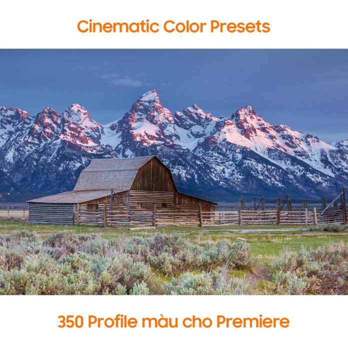 Cinematic-Color-Presets-–-350-Profile-mau-cho-Premiere-696x696