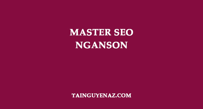 master-seo-nganson